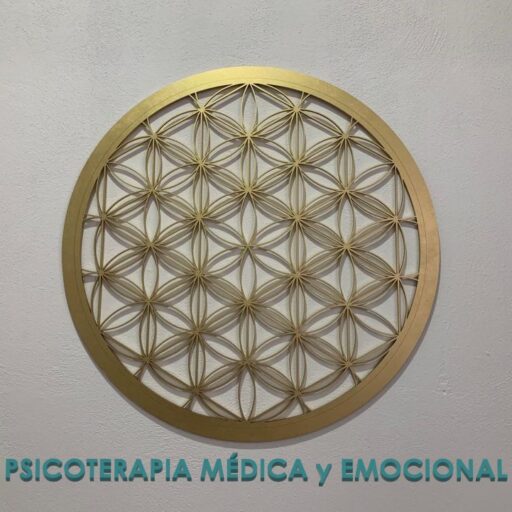 Psicoterapia medica icono
